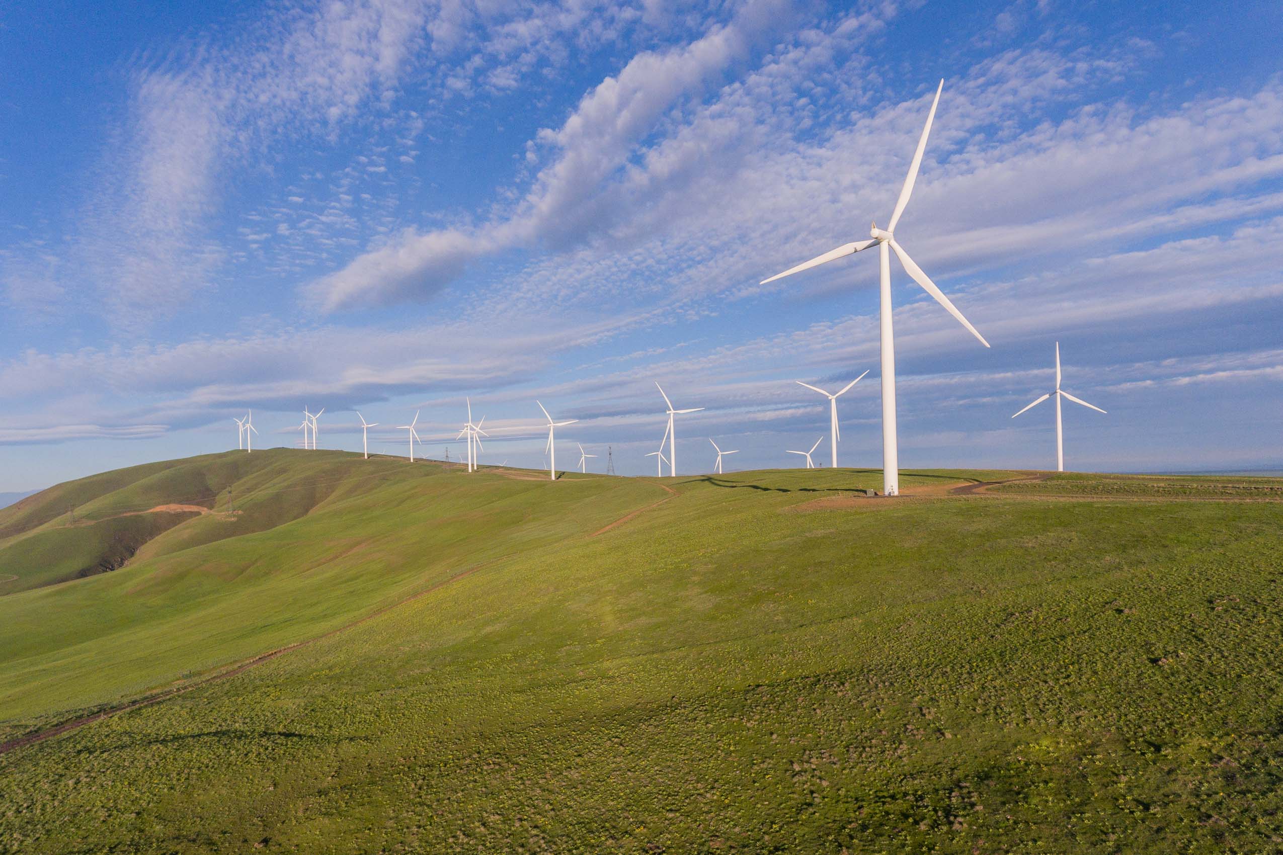 aerial drone view of wind farm oregon