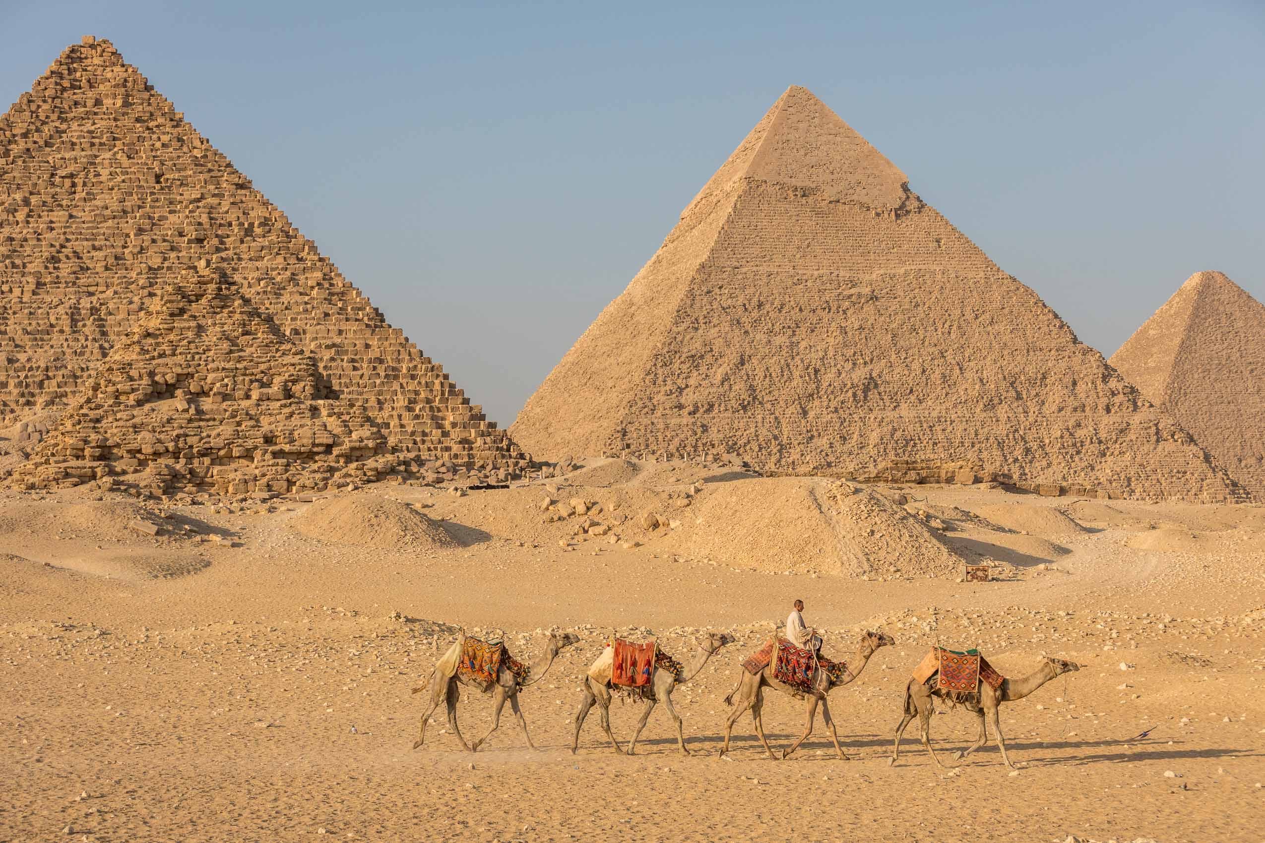Cairo Egypt pyramids with camels