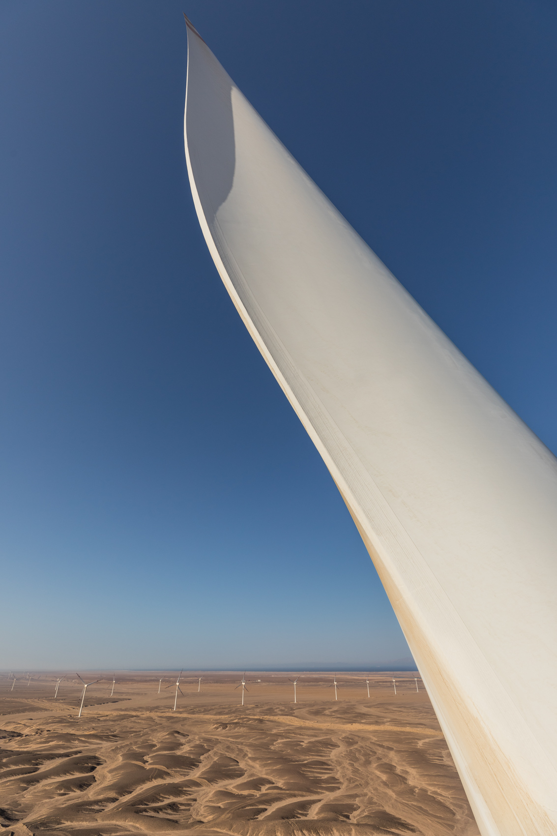 wind turbine blade farm in the desert of Egypt, Africa with Siemens Gamesa renewable clean energy Photographer Rich Crowder