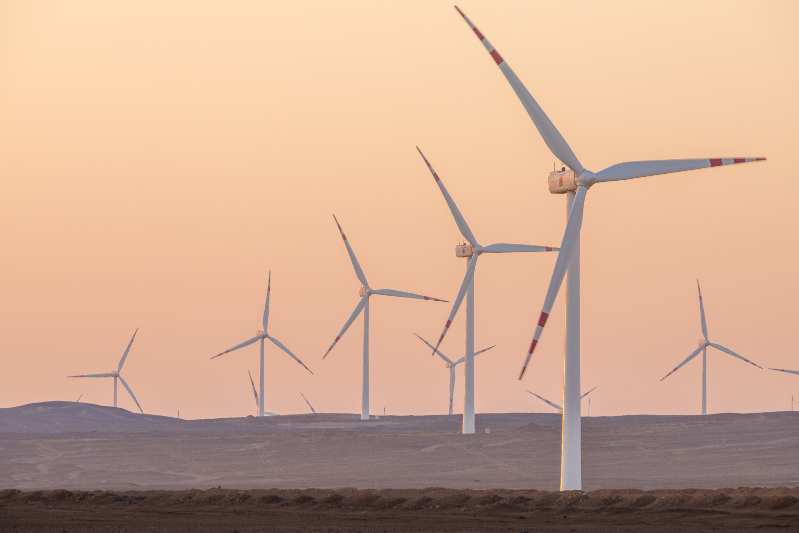 wind turbine farm in the desert of Egypt, Africa with Siemens Gamesa renewable clean energy Photographer Rich Crowder